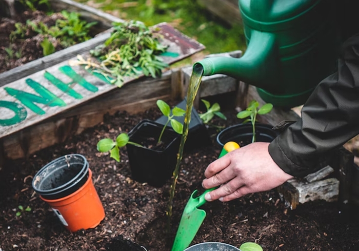 1673863015275002.jpg 植物培養(yǎng)液進口報關報檢流程1.jpg