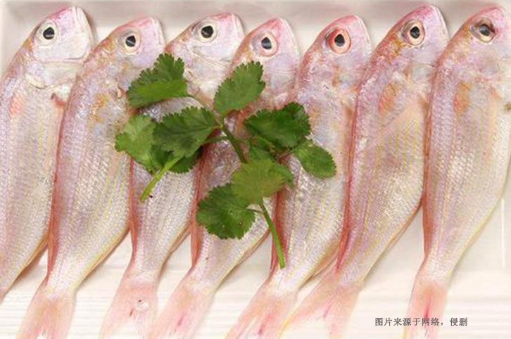 印尼冰鮮魚(yú)進(jìn)口清關(guān)流程 印尼冰鮮魚(yú)進(jìn)口清關(guān)流程