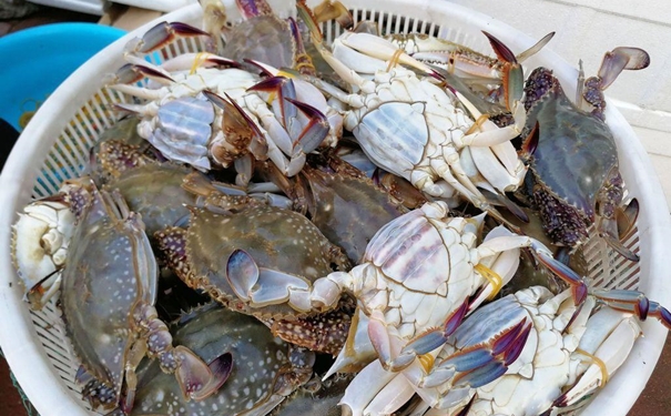 冷凍蟹進口報關一般貿易流程 冷凍蟹進口報關