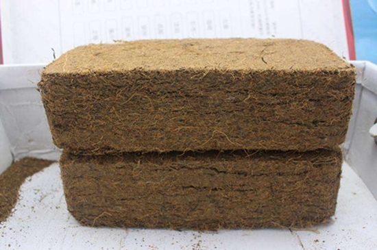 1599875052269069.jpg 椰糠進(jìn)口清關(guān)