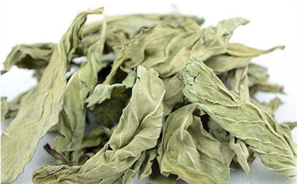 干薄荷葉進(jìn)口報關(guān)的流程是怎樣的? 干薄荷葉進(jìn)口報關(guān)