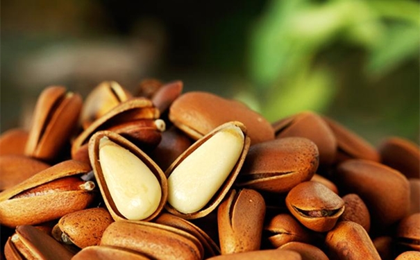 松子進口清關代理公司告訴您進口松子的流程